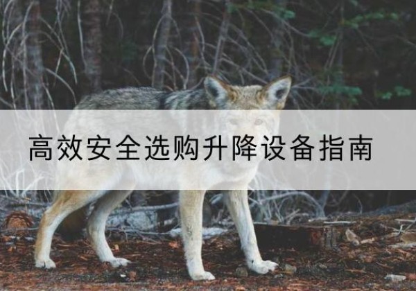 鹿城升降货梯厂家推荐-*安全选购升降设备指南