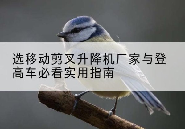 鹿城电动升降机厂家-选移动剪叉升降机厂家与登高车必看实用指南